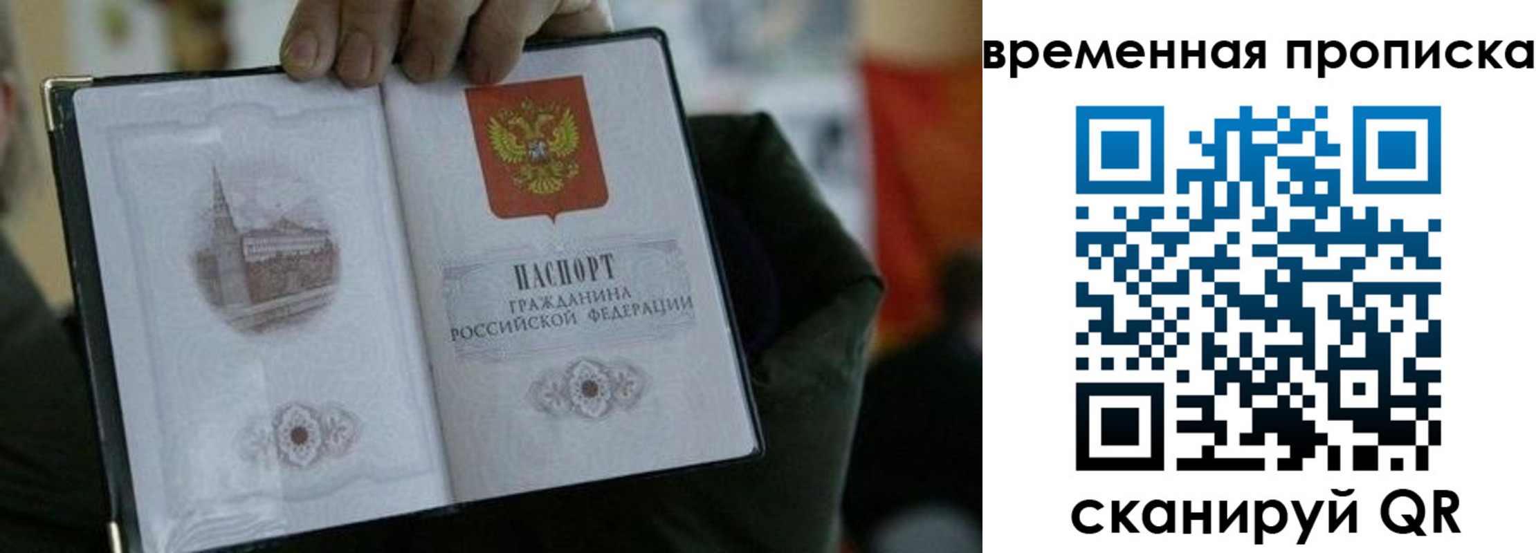 найти адрес прописки в Кольчугино